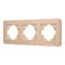 Минифото #1 товара Рамка алюминиевая FRM-AKIRY-AL-3-GD (Arlight, -)