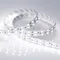 Минифото #5 товара Светодиодная лента RT 2-5000 24V White6000 2x2 (5060, 600 LED, LUX) (Arlight, 28.8 Вт/м, IP20)