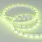 Минифото #7 товара Светодиодная лента MINI-F60-5mm 24V RGB (6 W/m, IP20, 3535, 5m) (Arlight, узкая)