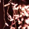 Минифото #3 товара Светодиодная гирлянда ARD-EDGE-CLASSIC-2400x600-CLEAR-88LED-STD Rose Gold (230V, 6W) (Ardecoled, IP65, 1 год)