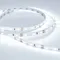 Минифото #4 товара Светодиодная лента RT 2-5000 12V Cool 8K (2835, 300 LED, PRO) (Arlight, 7.2 Вт/м, IP20)