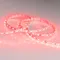 Минифото #2 товара Светодиодная лента RT 2-5000 24V Red 2x (5060, 300 LED, LUX) (Arlight, 14.4 Вт/м, IP20)