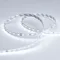 Минифото #4 товара Светодиодная лента RT 2-5000 24V White5500 (2835, 80 LED/m, LUX) (Arlight, 6 Вт/м, IP20)