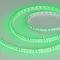 Минифото #1 товара Светодиодная лента RT-A120-8mm 24V Green (9.6 W/m, IP20, 2835, 5m) (Arlight, Открытый)