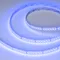 Минифото #5 товара Светодиодная лента RT-AM360-12mm 24V RGBW-MIX (24 W/m, IP20, 2835/2210, 5m) (Arlight, RGB-CCT, RGB-MIX, RGB-White MIX)