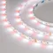 Минифото #3 товара Светодиодная лента RT-B60-10mm 24V RGBW-White (14.4 W/m, IP20, 5060, 5m) (Arlight, Открытый)