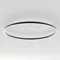 Минифото #1 товара Светильник SP-LINE-HANG-ARC-O3535-D3000-204W Warm3000 (BLACK, 230V) (Arlight, Металл)