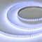 Минифото #8 товара Светодиодная лента RT-H120-10mm 24V RGBW-Warm-4-in-1 (25 W/m, IP20, 4040, 5m) (Arlight, Открытый)