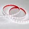 Минифото #2 товара Светодиодная лента RTW 2-5000PS 24V White6000 2x (5060, 300 LED, LUX) (Arlight, 14.4 Вт/м, IP67)