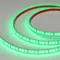 Минифото #1 товара Светодиодная лента герметичная RTW-PFS-A120-11mm 12V Green (9.6 W/m, IP68, 2835, 5m) (Arlight, 9.6 Вт/м, IP68)