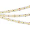 Минифото #3 товара Светодиодная лента RT-A168-10mm 24V Warm3000 (17 W/m, IP20, 2835, 5m) (Arlight, Открытый)