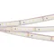 Минифото #1 товара Светодиодная лента RTW 2-5000PGS 24V Cool 2x (3528, 600 LED, LUX) (Arlight, 9.6 Вт/м, IP67)