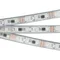Минифото #1 товара Светодиодная лента SPI-5000PGS-5060-60 12V Cx3 RGB-Auto (12mm, 13.2W/m, IP67) (Arlight, Закрытый, IP67)