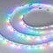 Минифото #2 товара Светодиодная лента SPI-RZ-B60-8mm 12V RGB-PX1-BPT (9 W/m, IP20, 5060, 5m) (Arlight, -)