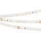 Минифото #1 товара Светодиодная лента RT 2-5000 24V Cool 8K (3528, 300 LED, LUX) (Arlight, 4.8 Вт/м, IP20)