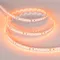 Минифото #2 товара Светодиодная лента RT 2-5000 24V Orange 2x (3528, 600 LED, LUX) (Arlight, 9.6 Вт/м, IP20)