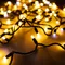Минифото #1 товара Светодиодная гирлянда ARD-STRING-CLASSIC-10000-BLACK-100LED-MILK-FLASH Warm (230V, 7W) (Ardecoled, IP65, 1 год)
