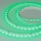 Минифото #4 товара Светодиодная лента MINI-F60-10mm 24V RGB (14.4 W/m, IP20, 3535, 5m) (Arlight, Открытый)