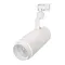 Минифото #1 товара Светильник LGD-ZEUS-2TR-R100-30W Day5000 (WH, 20-60 deg) (Arlight, IP20 Металл, 3 года)