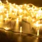 Минифото #1 товара Светодиодная гирлянда ARD-STRING-PRO-10000-WHITE-100LED-FLASH WARM (230V, 7W) (Ardecoled, IP65, 2 года)