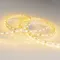 Минифото #2 товара Светодиодная лента RT 2-5000 24V Yellow 2x (5060, 300 LED, LUX) (Arlight, 14.4 Вт/м, IP20)