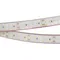 Минифото #1 товара Светодиодная лента RTW 2-5000P 24V White6000 2x2 (3528, 1200 LED, LUX) (Arlight, 19.2 Вт/м, IP66)