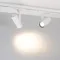 Минифото #2 товара Насадка LGD-ARTIFACT-OVAL-LENS-R65 (WH) (Arlight, Металл)