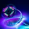 Минифото #2 товара Светодиодная лента SPI-5000-5060-60 12V Cx3 RGB-Auto (10mm, 13.2W/m, IP20) (Arlight, Открытый, IP20)