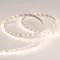 Минифото #2 товара Светодиодная лента RT 2-5000-50m 24V Warm2700 (2835, 80 LED/m, LUX) (Arlight, 6 Вт/м, IP20)
