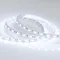 Минифото #2 товара Светодиодная лента RT 2-5000 12V Cool 8K 2x (5060, 300 LED, LUX) (Arlight, 14.4 Вт/м, IP20)