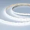 Минифото #1 товара Светодиодная лента COB-X576-10mm 24V White6000 (15 W/m, IP20, 5m) (Arlight, высок.эфф.150 лм/Вт)