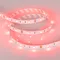 Минифото #3 товара Светодиодная лента RT 2-5000 12V Red (5060, 150 LED, LUX) (Arlight, 7.2 Вт/м, IP20)