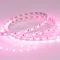 Минифото #2 товара Светодиодная лента RT 2-5000 24V Pink 2x (5060, 300 LED, LUX) (Arlight, 14.4 Вт/м, IP20)