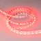 Минифото #4 товара Светодиодная лента RT-B60-10mm 24V Red (14.4 W/m, IP20, 5060, 5m) (Arlight, Открытый)