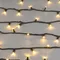 Минифото #2 товара Светодиодная гирлянда ARD-STRING-PRO-10000-GREEN-100LED-STD WARM (230V, 7W) (Ardecoled, IP65, 2 года)