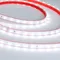 Минифото #2 товара Светодиодная лента RTW 2-5000PS-50m 24V White6000 (3528, 60 LED/m, LUX) (Arlight, 4.8 Вт/м, IP67)