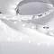 Минифото #3 товара Светодиодная лента RT-20000 24V White6000 (3528, 60 LED/m, 20m) (Arlight, 4.8 Вт/м, IP20)