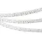 Минифото #2 товара Светодиодная лента герметичная FLT-PS-A42-23mm 24V Warm3000 (21 W/m, IP67, 15deg, 5m) (Arlight, -)