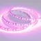 Минифото #3 товара Светодиодная лента RT 2-5000 12V Pink 2X (3528, 600 LED, LUX) (Arlight, 9.6 Вт/м, IP20)