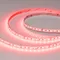 Минифото #7 товара Светодиодная лента RT-A168-10mm 24V RGBW-Warm (20 W/m, IP20, 5m) (Arlight, высок.эфф.150 лм/Вт)