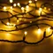 Минифото #1 товара Светодиодная гирлянда ARD-STRING-PRO-1000-GREEN-100LED-MILK-PULSE Warm (230V, 7W) (Ardecoled, IP65, 2 года)