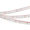 Минифото #2 товара Светодиодная лента герметичная RTW-PFS-A60-11mm 12V Blue (4.8 W/m, IP68, 2835, 5m) (Arlight, -)