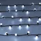 Минифото #4 товара Светодиодная гирлянда ARD-BALL-CLASSIC-D17.5-10000-BLACK-100LED WHITE (230V, 7W) (Ardecoled, IP65)