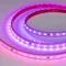Минифото #1 товара Светодиодная лента герметичная SPI-PFS-B60-12mm 24V RGB-PX6-BPT (12 W/m, IP68, 5060, 5m) (Arlight, бегущий огонь)
