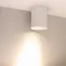 Минифото #2 товара Светильник SP-FOCUS-R132-24W Warm3000 (WH, 36 deg, 230V) (Arlight, IP54 Металл, 5 лет)