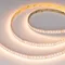 Минифото #1 товара Светодиодная лента RT-AM360-12mm 24V RGBW-MIX (24 W/m, IP20, 2835/2210, 5m) (Arlight, RGB-CCT, RGB-MIX, RGB-White MIX)