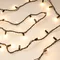Минифото #5 товара Светодиодная гирлянда ARD-STRING-CLASSIC-10000-BLACK-100LED-MILK-STD Warm (230V, 7W) (Ardecoled, IP65, 1 год)