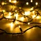 Минифото #1 товара Светодиодная гирлянда ARD-STRING-PRO-1000-GREEN-100LED-PULSE Warm (230V, 7W) (Ardecoled, IP65, 2 года)
