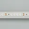 Минифото #4 товара Светодиодная лента RT 2-5000 24V White6000 2x (3528, 600 LED, LUX) (Arlight, 9.6 Вт/м, IP20)