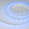 Минифото #5 товара Светодиодная лента CSP-X840-12mm 24V RGBW-Day (17.2 W/m, IP20, 5m) (Arlight, 5 лет)